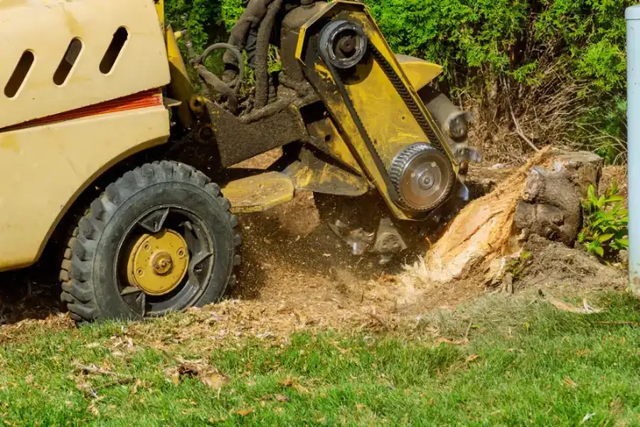 How Stump Grinding Helps Increase Available Space In Your Yard in Morris, MN