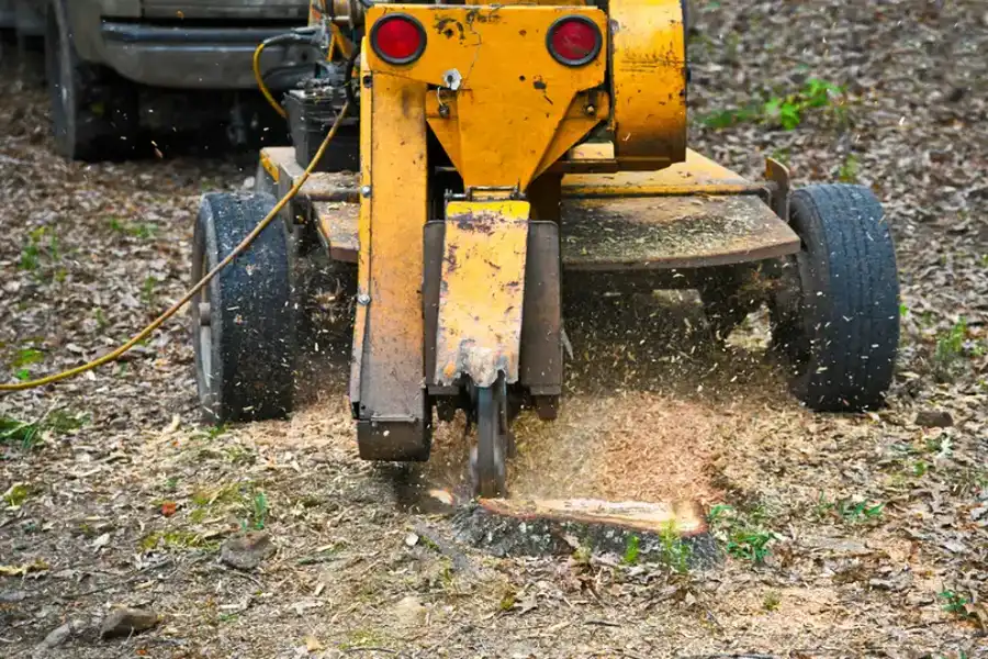 How Stump Grinding Helps Increase Available Space In Your Yard in Morris, MN