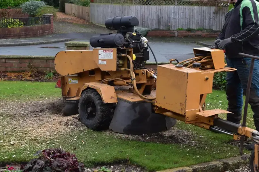 Why You Should Consider Stump Grinding After Tree Removal in Morris, MN